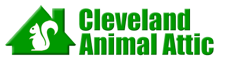 Cleveland Animal Attic